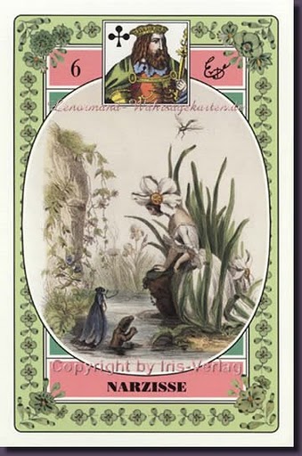 Lenormand - Das Blumen Orakel Set