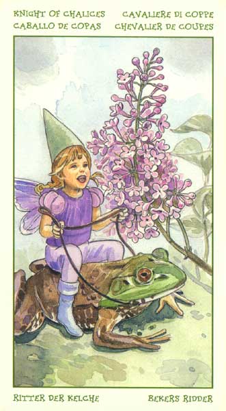 The Spirit of Flowers Tarot