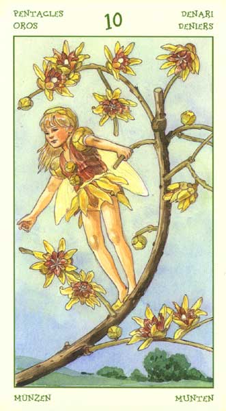 The Spirit of Flowers Tarot