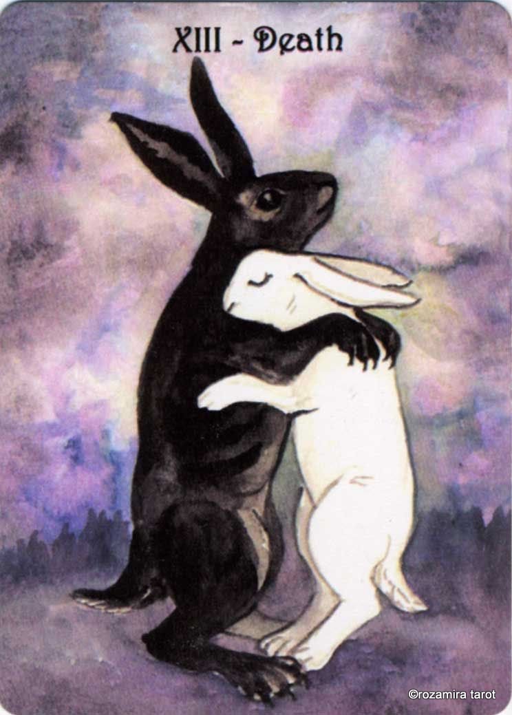 Rabbit Tarot