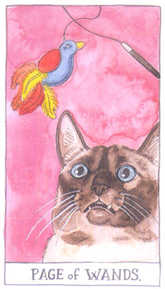 Cat Tarot (Megan Lynn Kott)