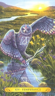 Tarot of the Owls