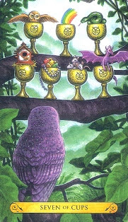 Tarot of the Owls