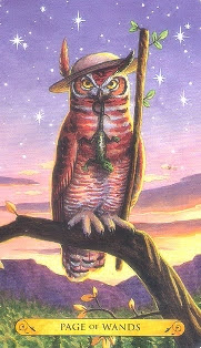 Tarot of the Owls