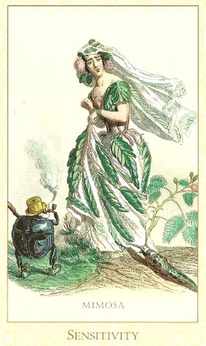 Victorian Flower Oracle