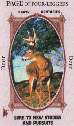 Animal Wise Tarot