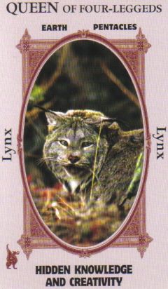 Animal Wise Tarot