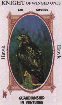 Animal Wise Tarot