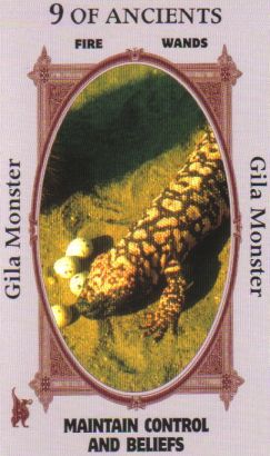 Animal Wise Tarot