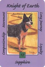 Australian Animal Tarot