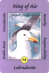 Australian Animal Tarot