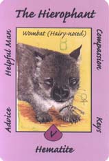 Australian Animal Tarot