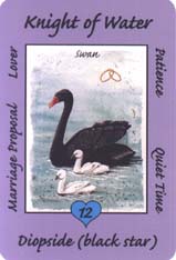 Australian Animal Tarot