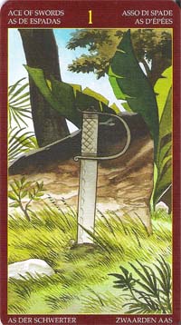 Afro-Brazilian Tarot