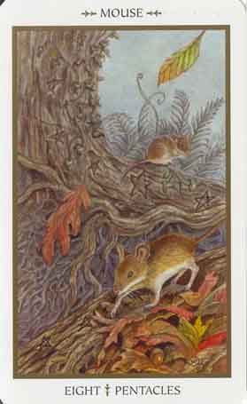 Animals Divine Tarot