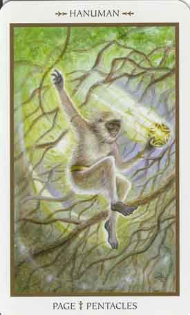 Animals Divine Tarot