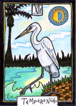 New Zealand Naturally Tarot