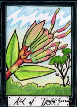 New Zealand Naturally Tarot