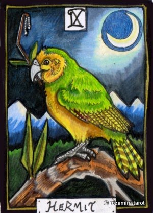 New Zealand Naturally Tarot