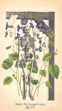 Antique Anatomy Tarot