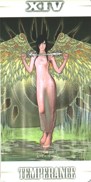 TaRoT CaSiMiR