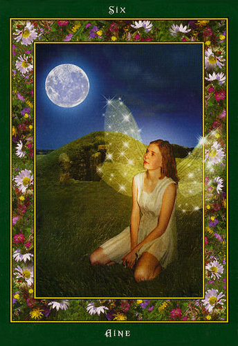 Fairy Ring Oracle