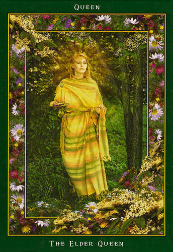 Fairy Ring Oracle