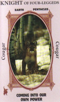 Animal Wise Tarot