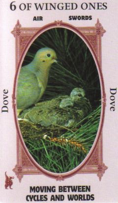 Animal Wise Tarot