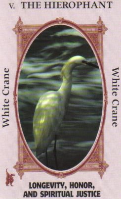 Animal Wise Tarot