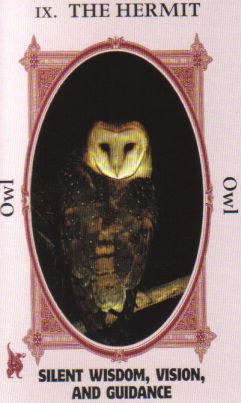 Animal Wise Tarot