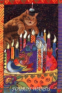 Animal Tarot