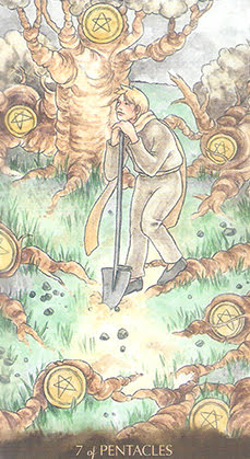 Tarot of the Little Prince