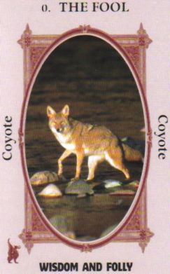 Animal Wise Tarot