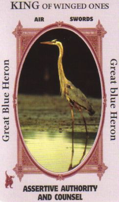 Animal Wise Tarot