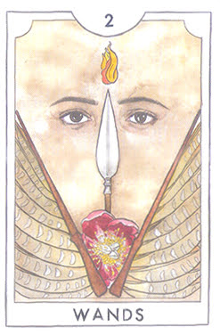 The New Chapter Tarot