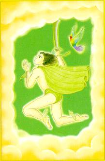 Aura Soma Tarot