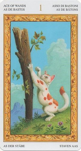 Tarot of White Cats