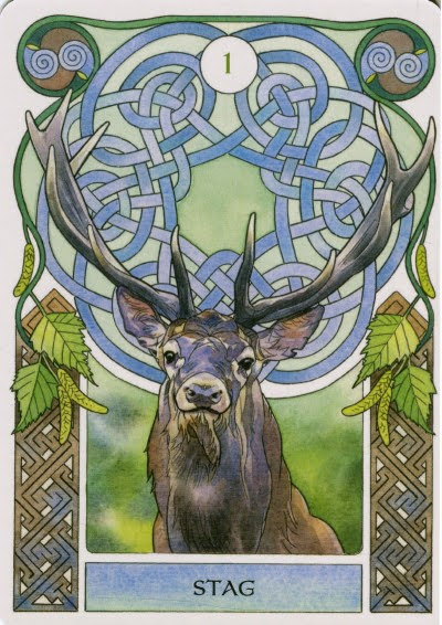 Celtic Astrology Oracle Cards