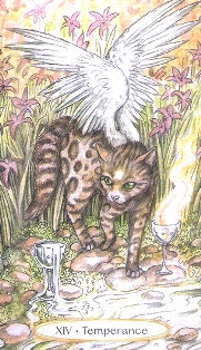 Soul Cats Tarot