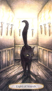 Soul Cats Tarot