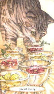 Soul Cats Tarot