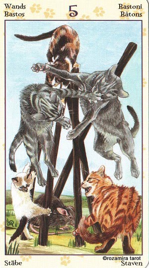 Tarot of Pagan Cats