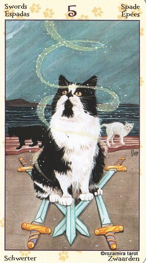 Tarot of Pagan Cats