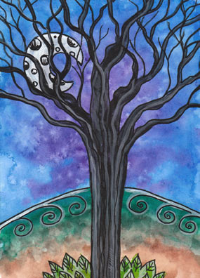 Tarot of Trees by Dana Driscoll