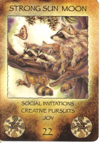 Spirit Of The Wheel Meditation Deck