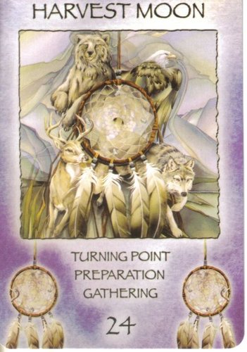 Spirit Of The Wheel Meditation Deck