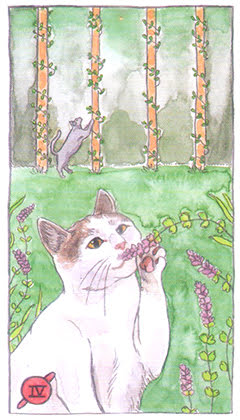 Cat Tarot (Megan Lynn Kott)