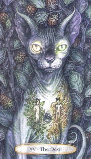 Soul Cats Tarot