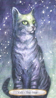 Soul Cats Tarot